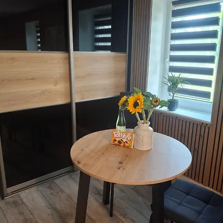 Palmiarnia Point Blisko Ksiaz *