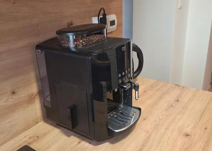 Apartment Palmiarnia Point Blisko Ksiaz Waldenburg